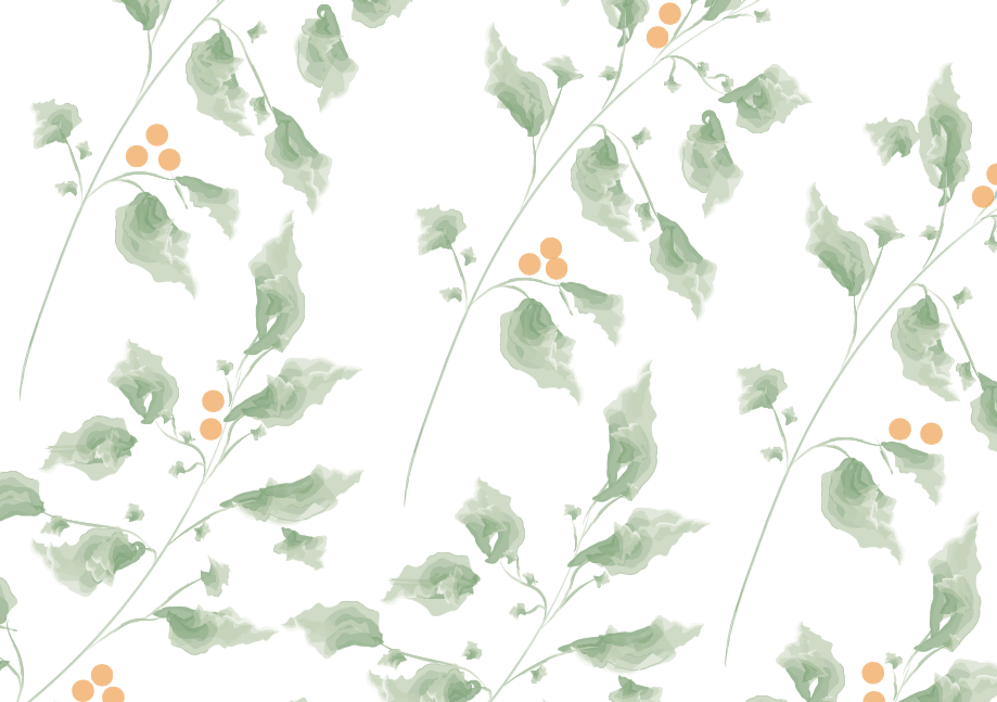 Кейс рекламного ролика пенала для акварельных красок Simple