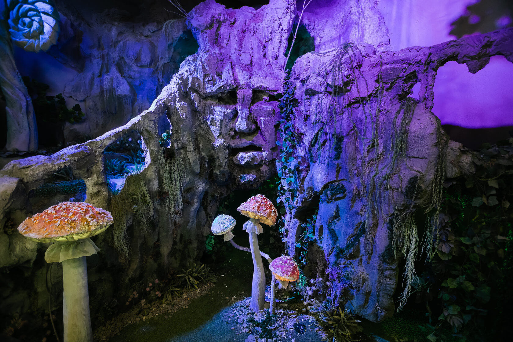 Праздник в стиле Форт Боярд